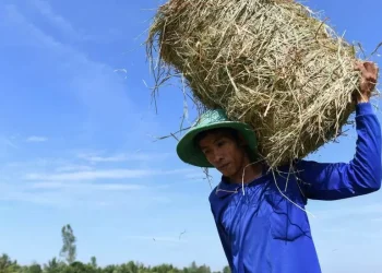 Climate change: Vietnam records highest-ever temperature of 44.1C