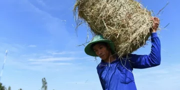 Climate change: Vietnam records highest-ever temperature of 44.1C