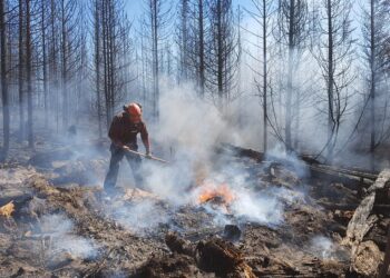 Wildfires Threaten Homes & Oil Production in Canada