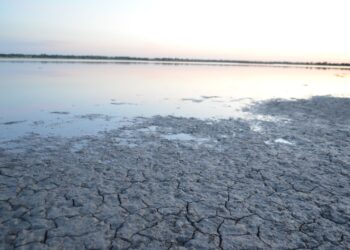 Study Reveals Over Half of World’s Large Lakes Are Drying Up
