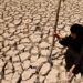 Iraq Faces Critical Water Shortage: UN Official Urges Immediate Action