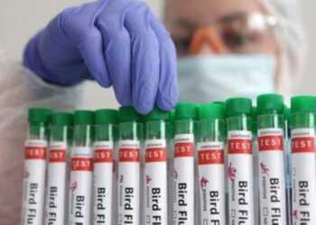 Brazil Takes Swift Action with Animal Health Emergency Amid Avian Flu Case