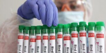 Brazil Takes Swift Action with Animal Health Emergency Amid Avian Flu Case