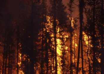 Canada Wildfire Battle Takes Positive Turn Following Rainfall