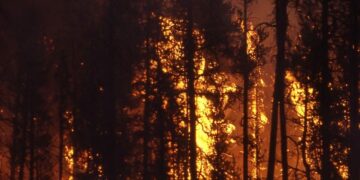 Canada Wildfire Battle Takes Positive Turn Following Rainfall