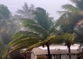 Typhoon Mawar Approaches US, Residents Seek Shelter