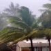 Typhoon Mawar Approaches US, Residents Seek Shelter