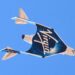 Virgin Galactic Successfully Concludes Final Test Flight Ahead of Space Tourism Launch