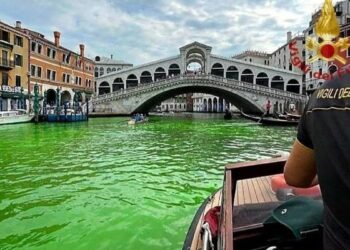 Venice Canal Shocks Residents with Vibrant Green Transformation