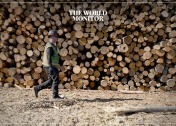 How Germany Used Cocoa Waste to Counter Climate Change?