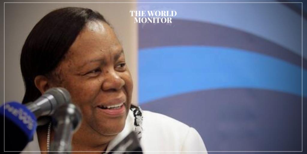 South African FM: African Leaders Ready to Visit Ukraine