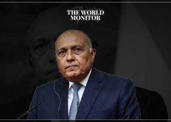 Egyptian FM Urges International Community to Send Aid to Sudan