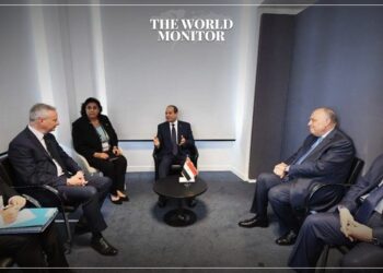 El-Sisi Expresses Interest in Increasing French Investment in Egypt