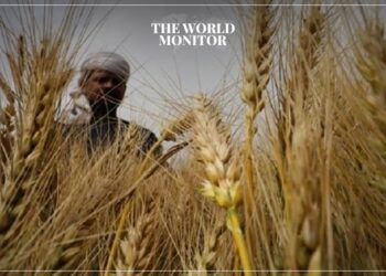 Egypt to Supply 5,000 Tonnes of Wheat to Senegal