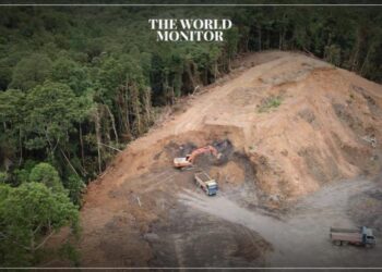 Deforestation Crisis Continues Despite COP26 Pledges