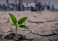 EU Launches New Strategy to Address Climate Change