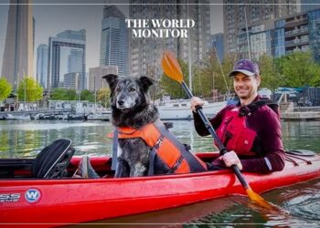 Toronto Mayor's Race Attracts 101 People & a Dog