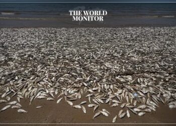 Impacts of Climate Change Put US Beaches at Risk