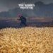 Fires Destroy 14 Hectares of Wheat in Tunisia