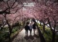 Japan Airlines Launches Wearbnb: Travellers Can Rent Clothing on Arrival to Reduce Carbon Footprint