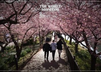 Japan Airlines Launches Wearbnb: Travellers Can Rent Clothing on Arrival to Reduce Carbon Footprint