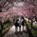 Japan Airlines Launches Wearbnb: Travellers Can Rent Clothing on Arrival to Reduce Carbon Footprint