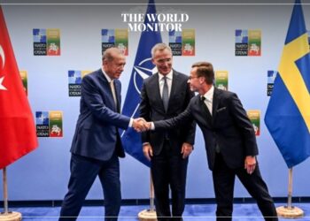 Turkey Agrees to Support Sweden's NATO Bid