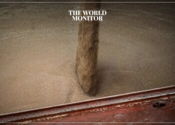 EU Plans to Save Ukraine Grain Deal via Russian Bank Concession