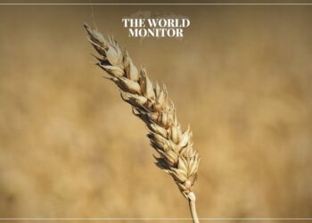 Tunisia Discusses Ways to Boost Food Security