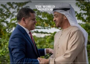 UAE President & Libyan PM Discuss Political Issues