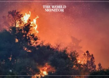 Palestinian Killed by Israeli Forces