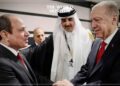 Egypt & Turkey Appoint New Ambassadors