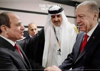 Egypt & Turkey Appoint New Ambassadors