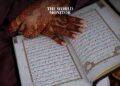 UN Approves Motion to Combat Religious Hatred After Quran Burning