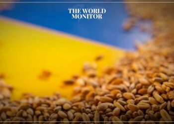 Ukraine Plans to Export 50 Million Tons of Grain through Alternative Routes