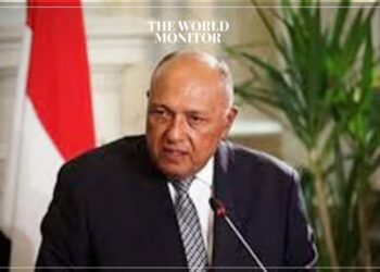 Egypt’s FM Explains Visa Policy towards Sudanese Citizens