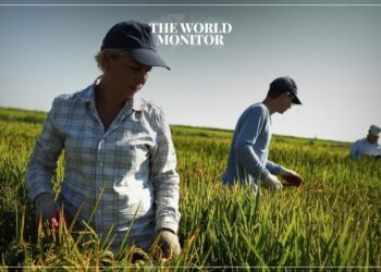 Russia Halts Rice Exports