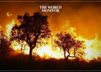 34 Dead in Algerian Wildfires