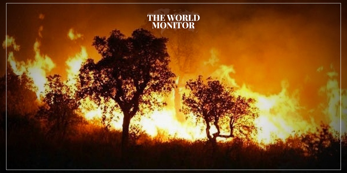 34 Dead in Algerian Wildfires
