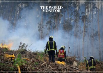 Wildfires in Italy Cause Airport Shutdown