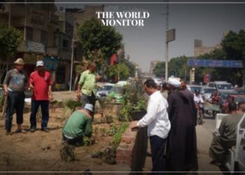 Egypt Plants 7.7 Million Trees to Combat Climate Change