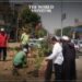 Egypt Plants 7.7 Million Trees to Combat Climate Change