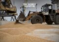 Kremlin Announces Grain Deal Termination