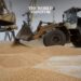 Kremlin Announces Grain Deal Termination