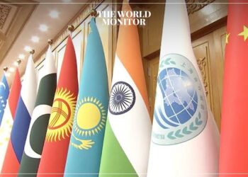 SCO Countries Share Responsibility to Promote Global Economic Growth