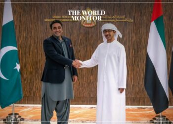UAE & Pakistan Discuss Strategic Partnership