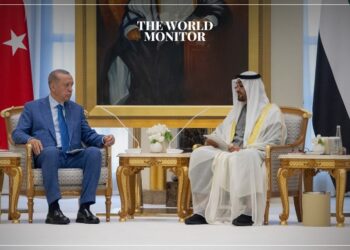 UAE & Turkey Discuss Reinforcing Bilateral Ties