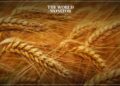 Iraq Has "Sufficient" Wheat Reserves until July 2024