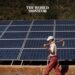 Morocco Attracts Third of International Renewable Energies Investments