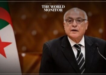 Algeria & Nigeria Unite to End Niger's Growing Turmoil